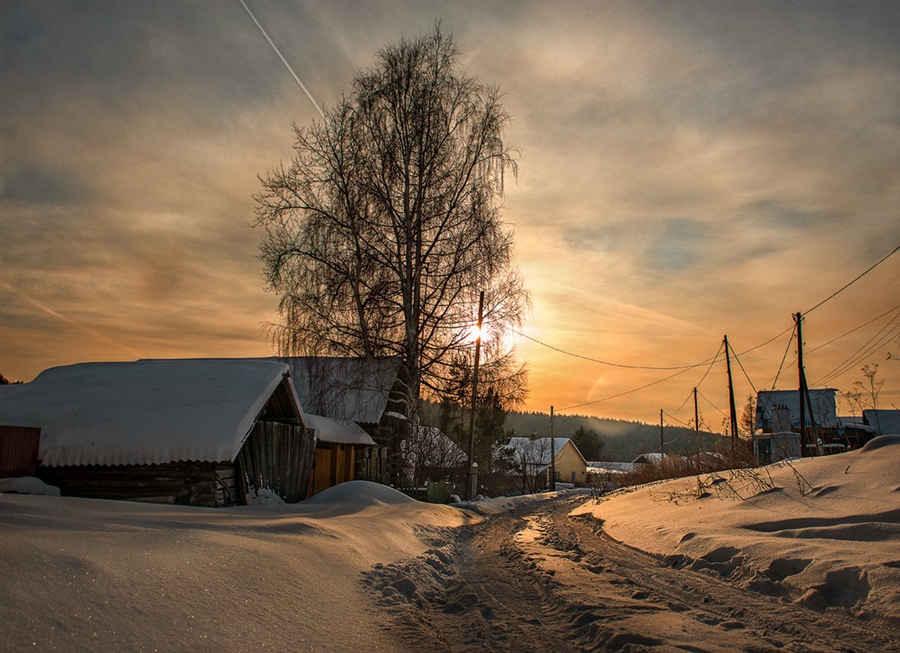 Фото жизнь