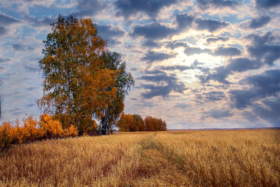 Фото жизнь
