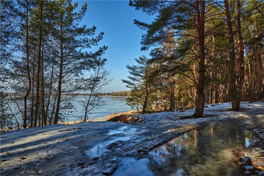 Фото жизнь