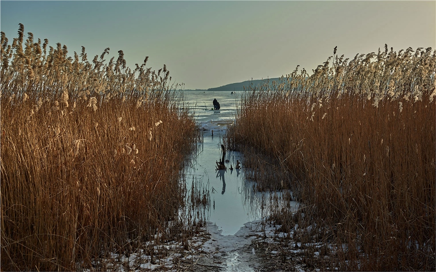Фото жизнь