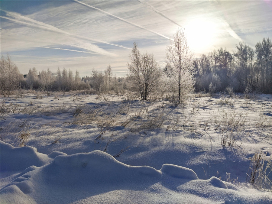 Фото жизнь