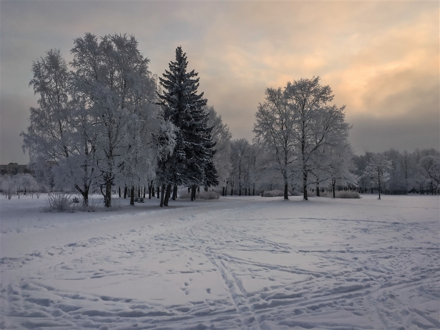Фото жизнь