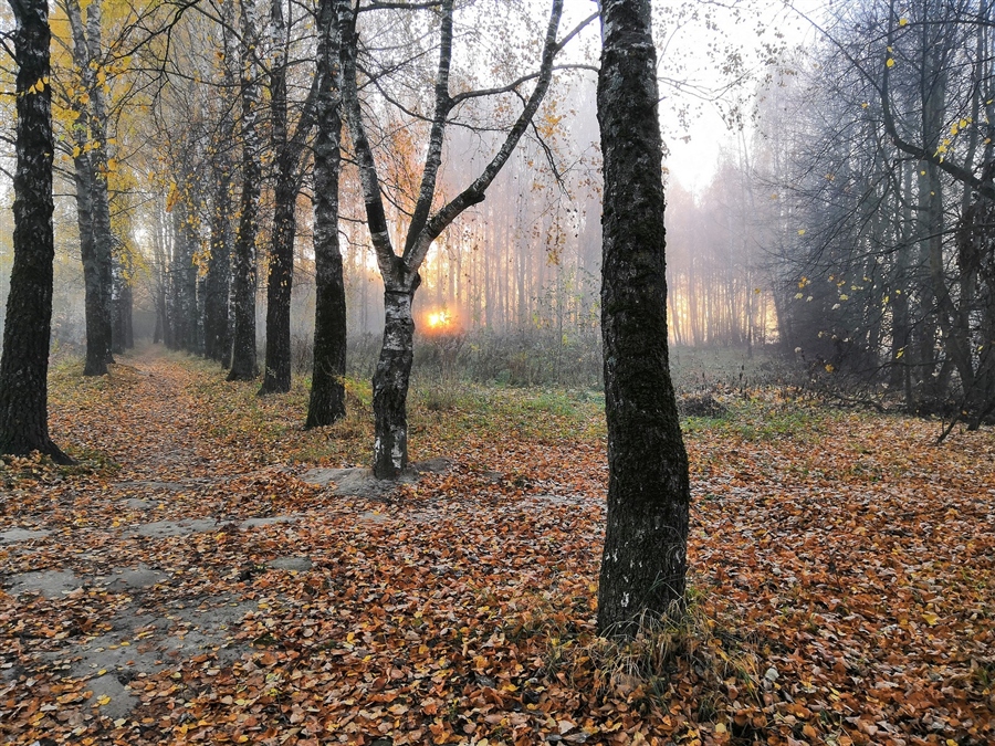 Фото жизнь