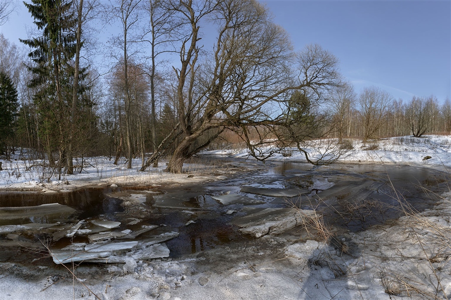 Фото жизнь