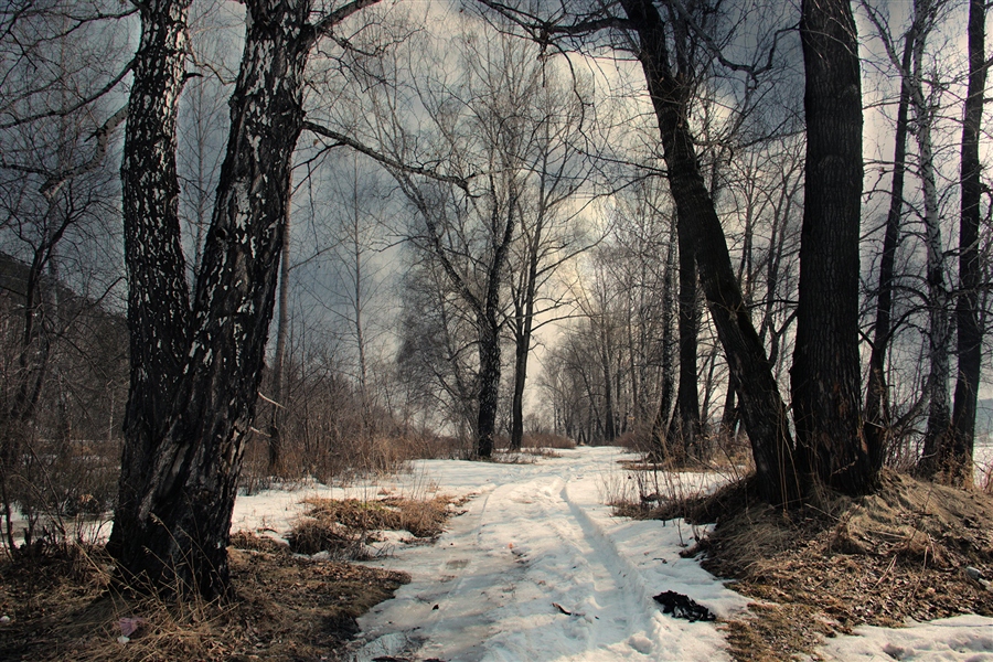 Фото жизнь