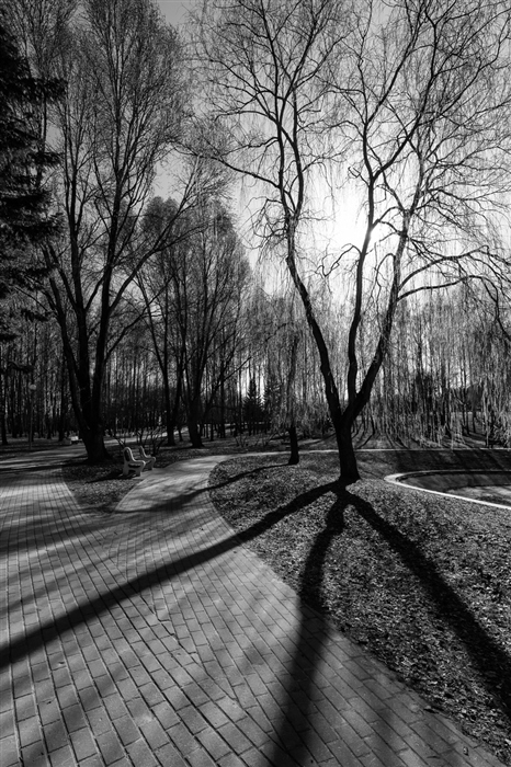 Фото жизнь