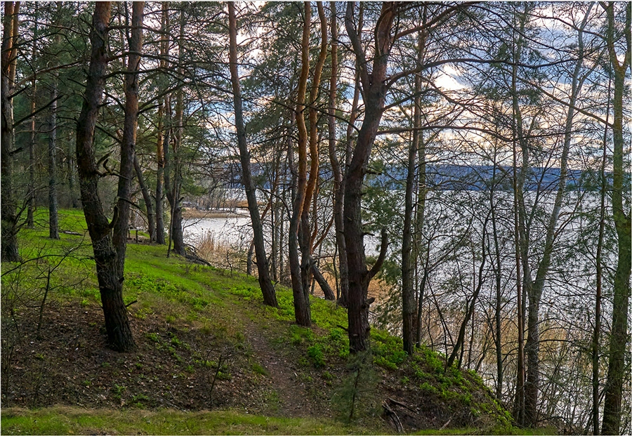 Фото жизнь
