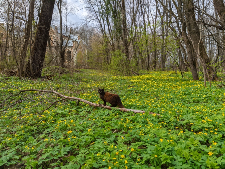 Фото жизнь