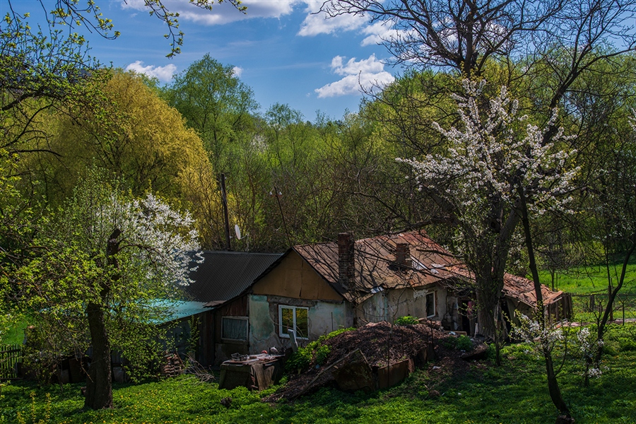 Фото жизнь