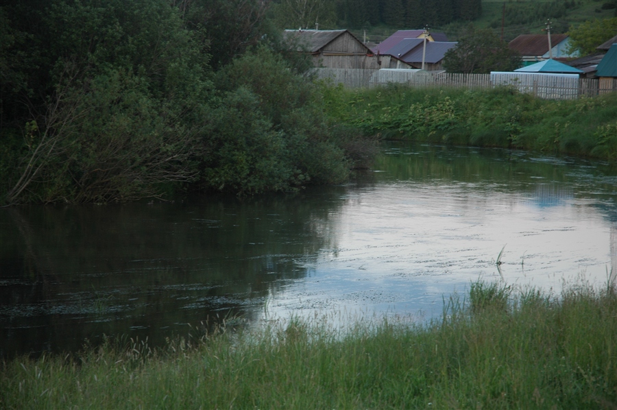 Фото жизнь