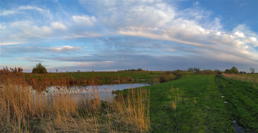 Фото жизнь