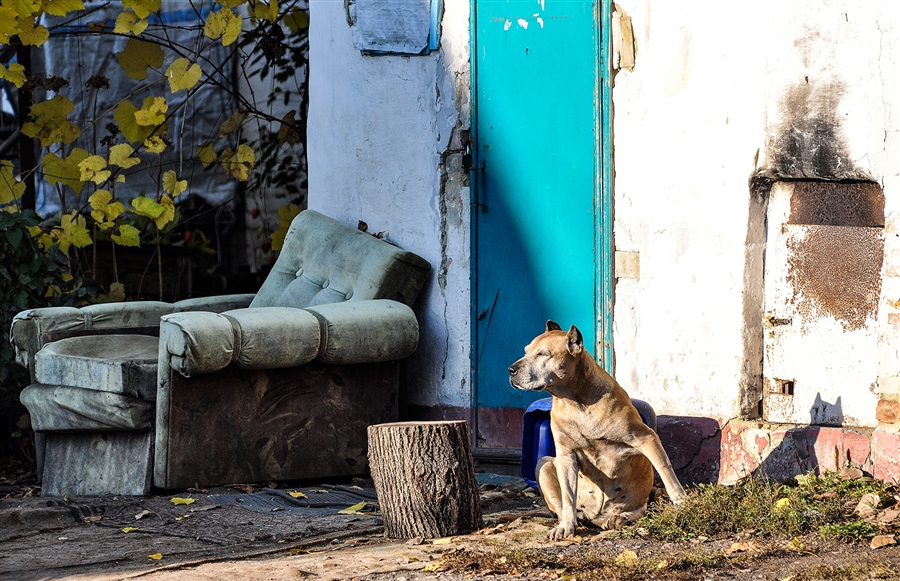 Фото жизнь