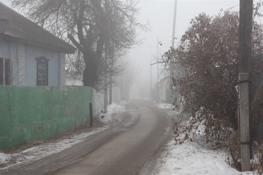 Фото жизнь