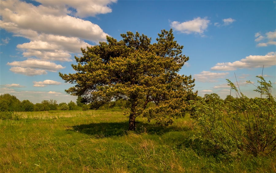Фото жизнь