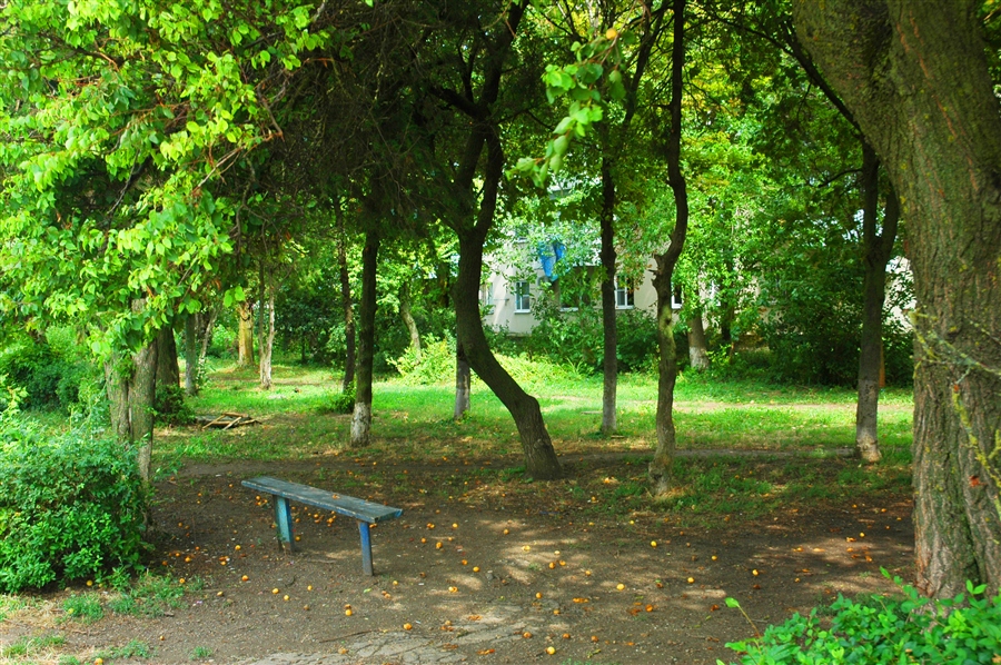 Фото жизнь