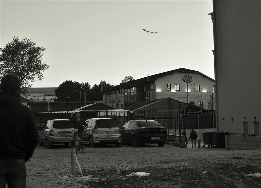 Фото жизнь
