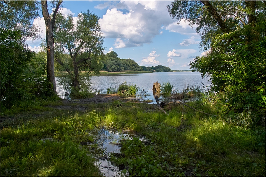 Фото жизнь
