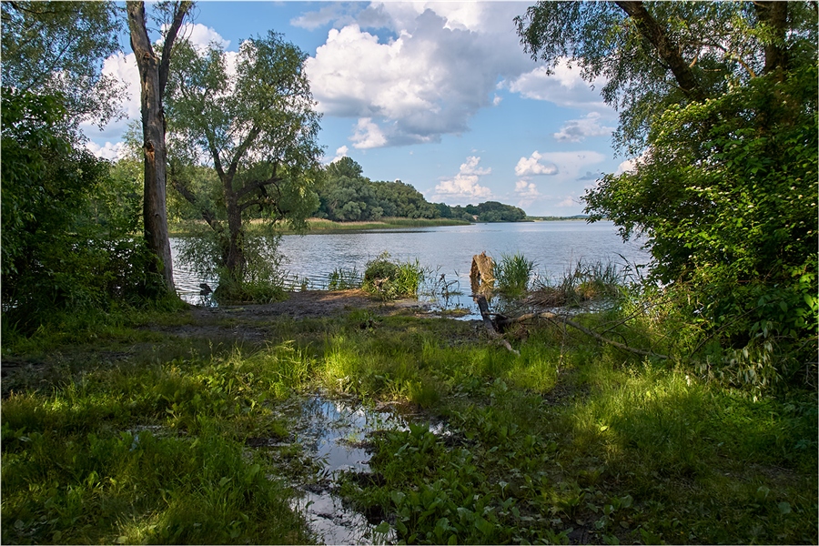 Фото жизнь