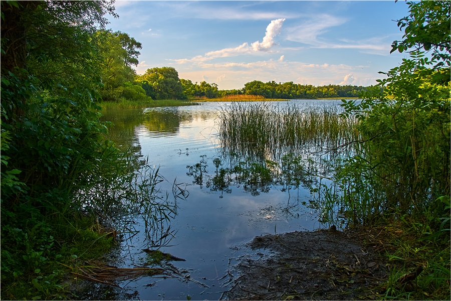 Фото жизнь