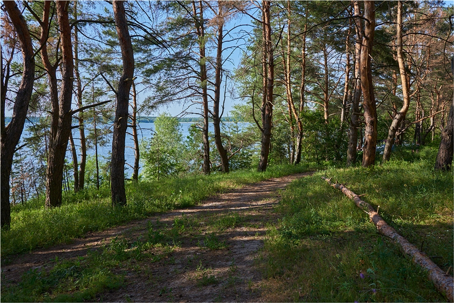 Фото жизнь