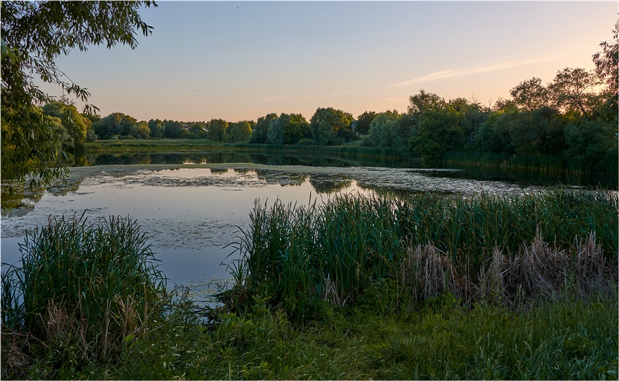 Фото жизнь