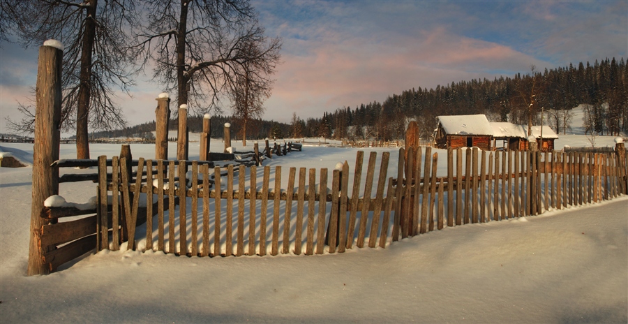 Фото жизнь
