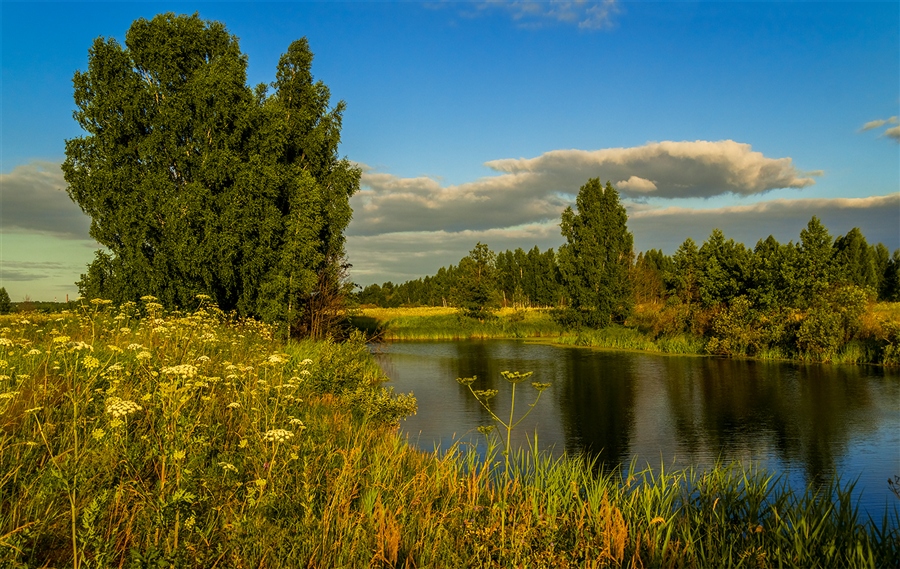 Фото жизнь
