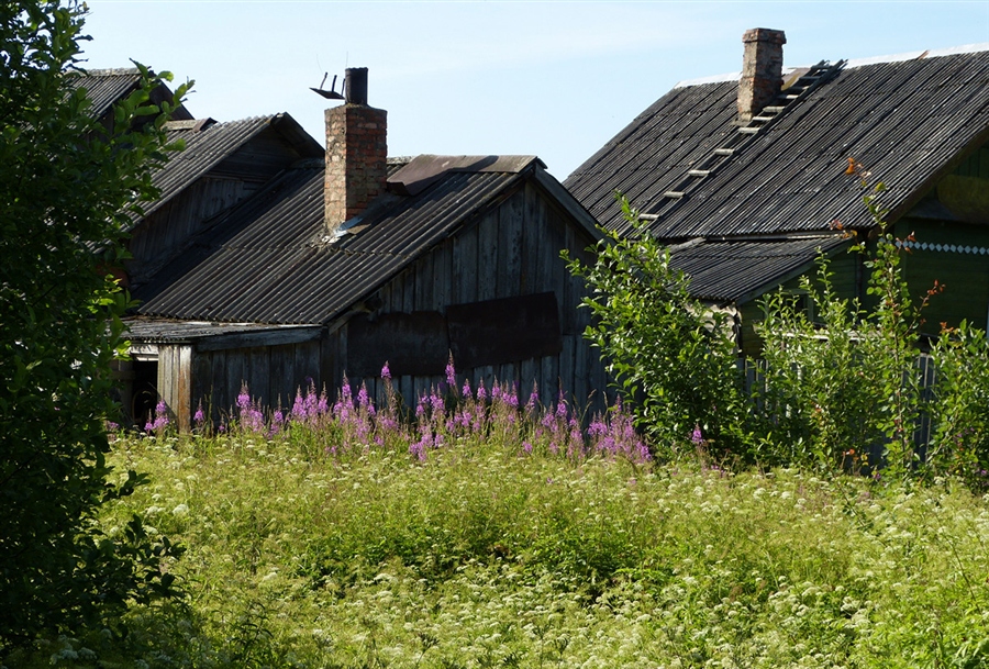 Фото жизнь