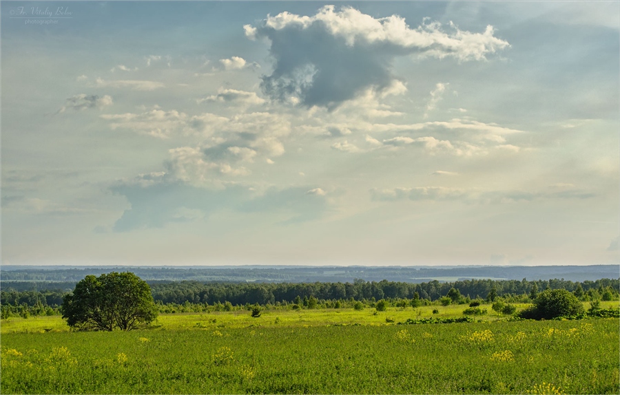 Фото жизнь