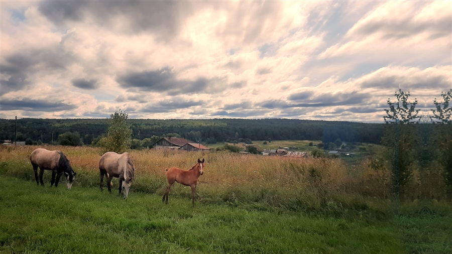 Фото жизнь