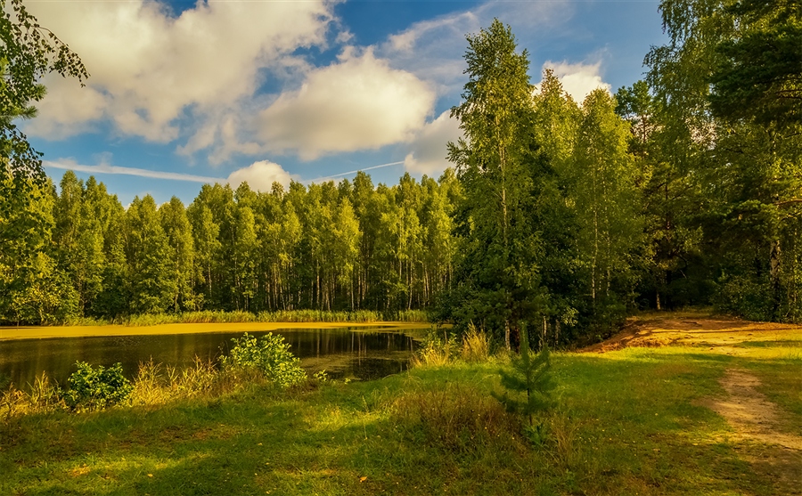 Фото жизнь