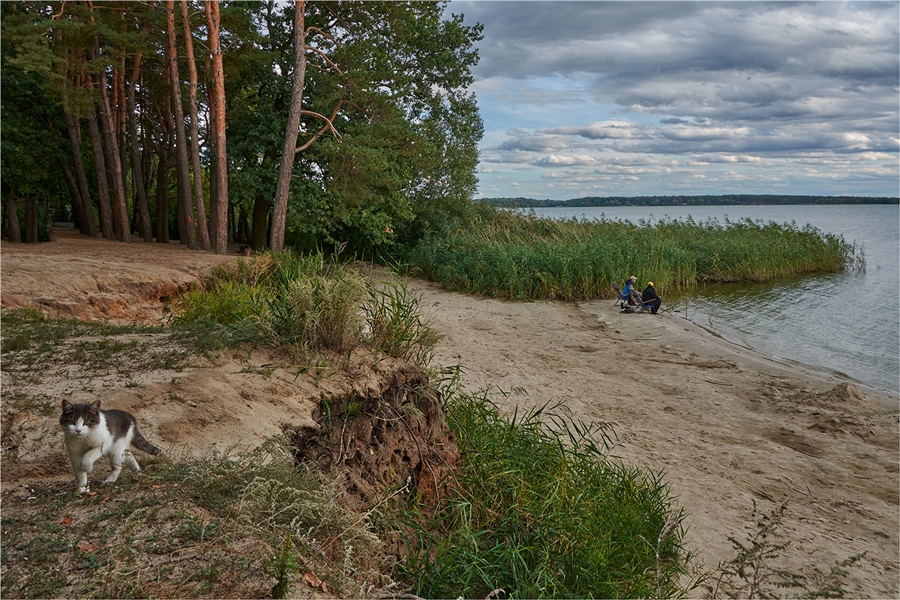 Фото жизнь
