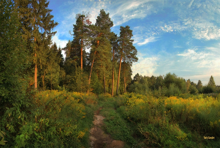 Фото жизнь