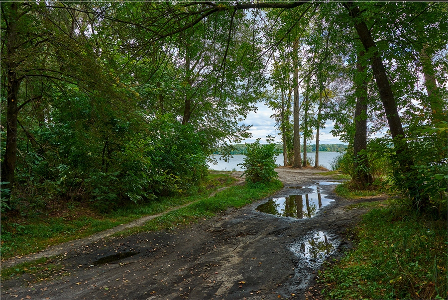 Фото жизнь