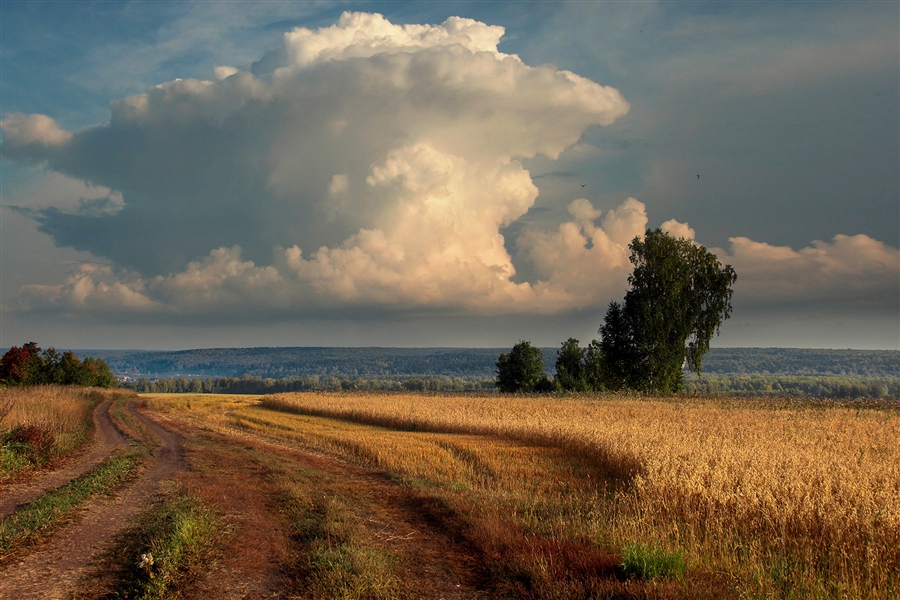 Фото жизнь