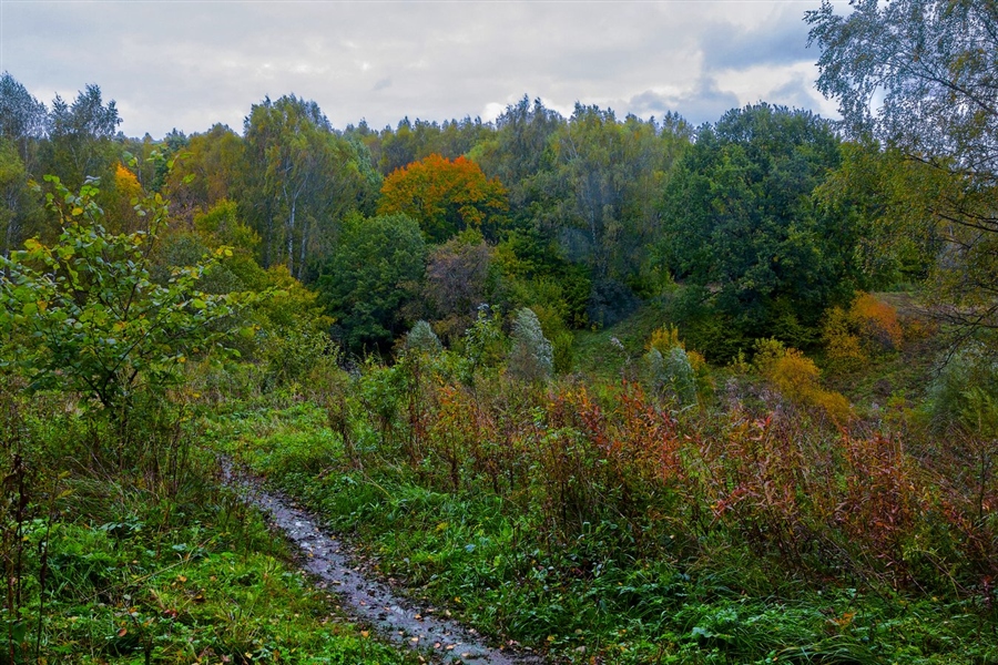 Фото жизнь