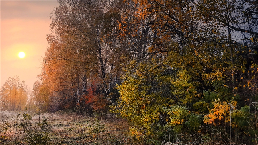 Фото жизнь