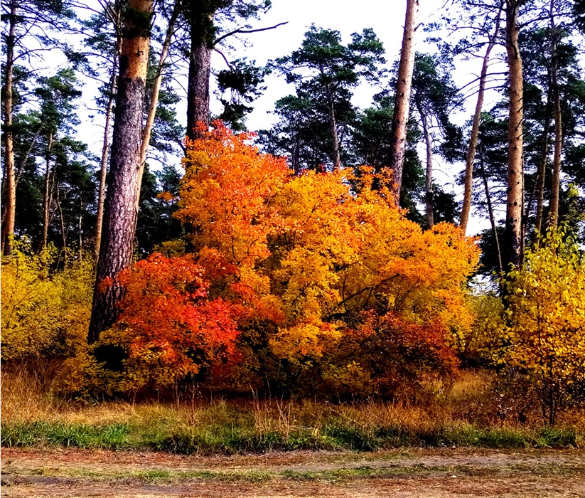 Фото жизнь