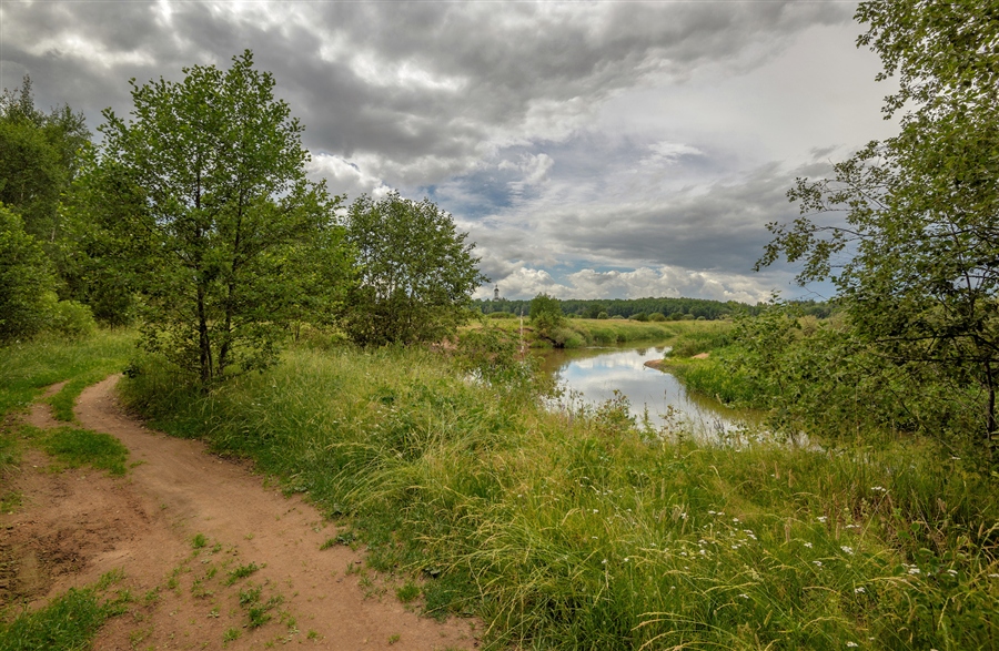 Фото жизнь
