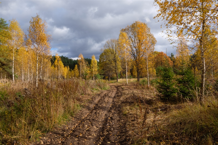Фото жизнь