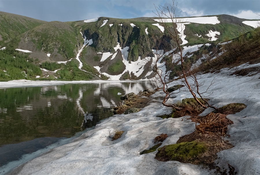Фото жизнь