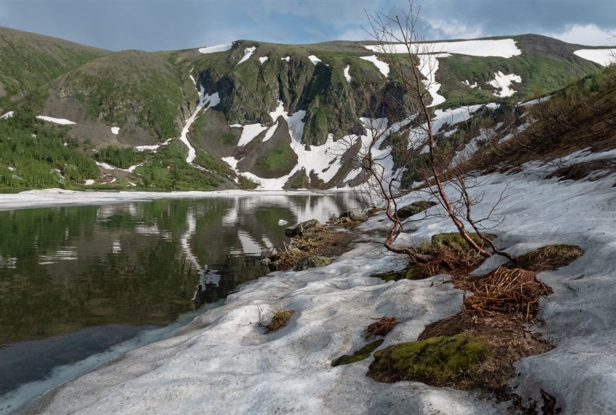 Фото жизнь