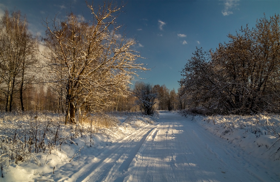 Фото жизнь