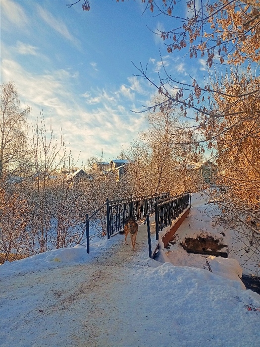 Фото жизнь