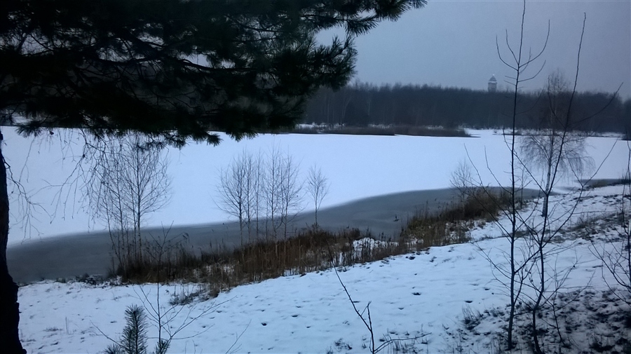 Фото жизнь