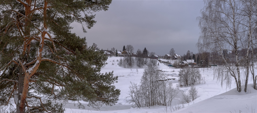 Фото жизнь