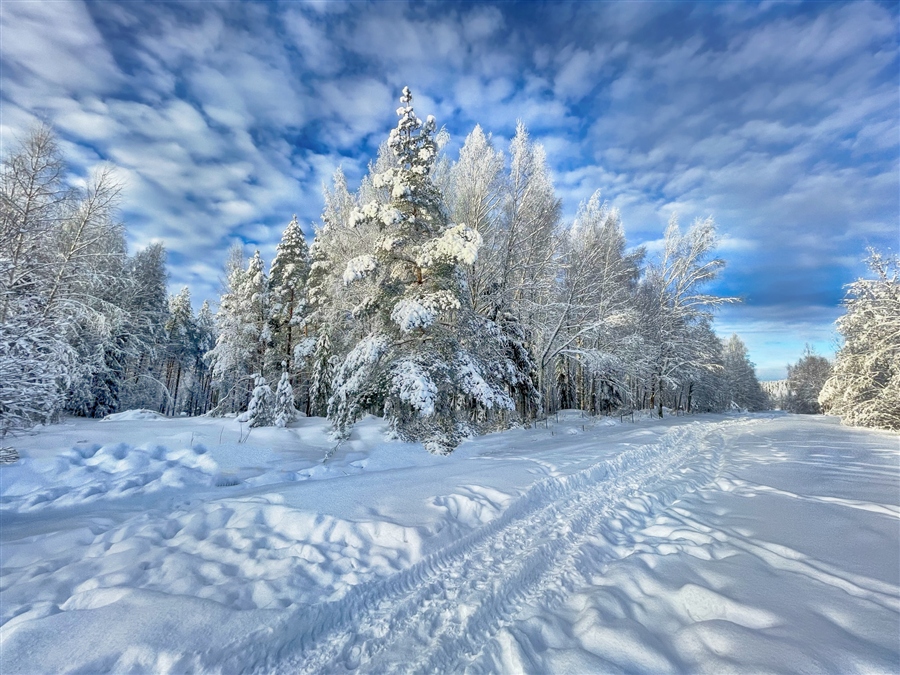 Фото жизнь