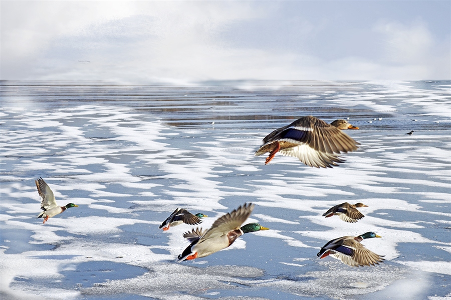 И продолжаем лететь...