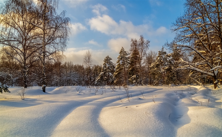 Фото жизнь