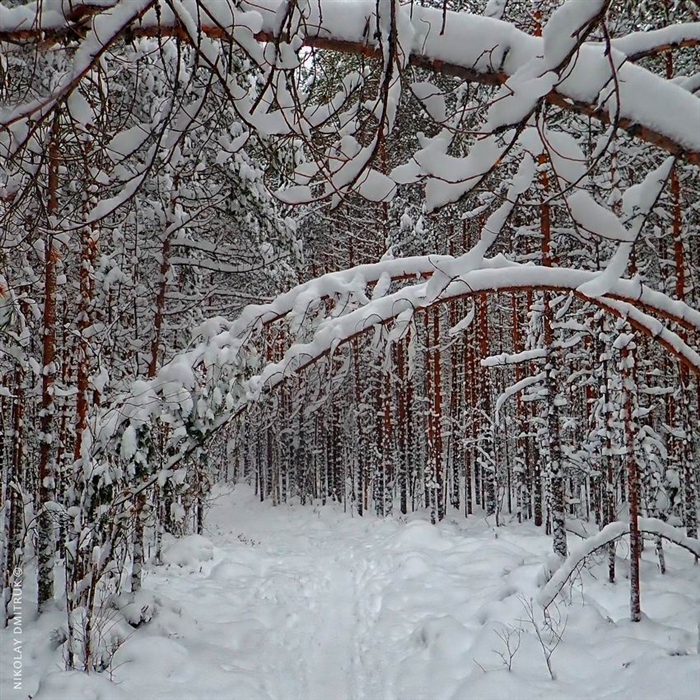Фото жизнь